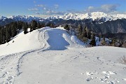 Sulle nevi delle TORCOLE da Piazzatorre-Rif.Gremei il 23 dicembre 2019 - FOTOGALLERY